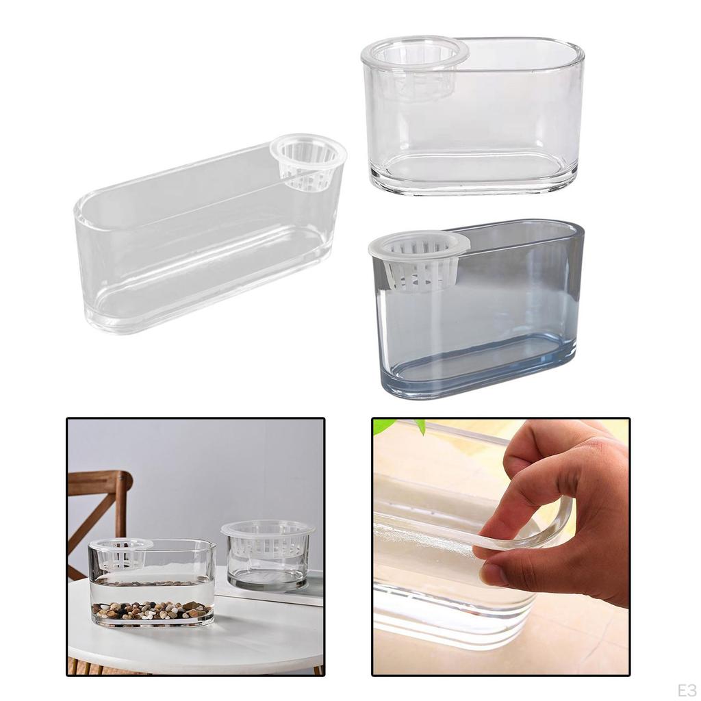 Aquaponic Tank Plant Growing System Cleaning Decoration Flower Arrangement Container Garden for