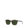 Men S Plaid Temple SunglaSSeS Mapoeye0o220130999