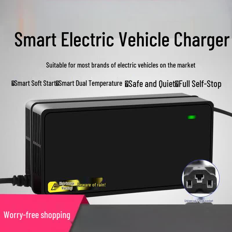 Gong Dengdeng 24V LiFePO4 Battery Charger