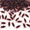 50Pcs Halloween Gadget Plastic Cockroaches Joke Decoration Props Rubber Toy Gags Practical Jokes Toys Plastic Bugs Cockroach