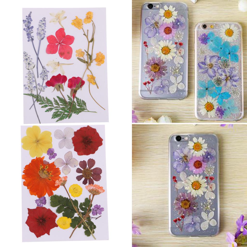 Assorted Pressed Leaves Real Dyed Dried Flowers DIY Floral Decor Card Making