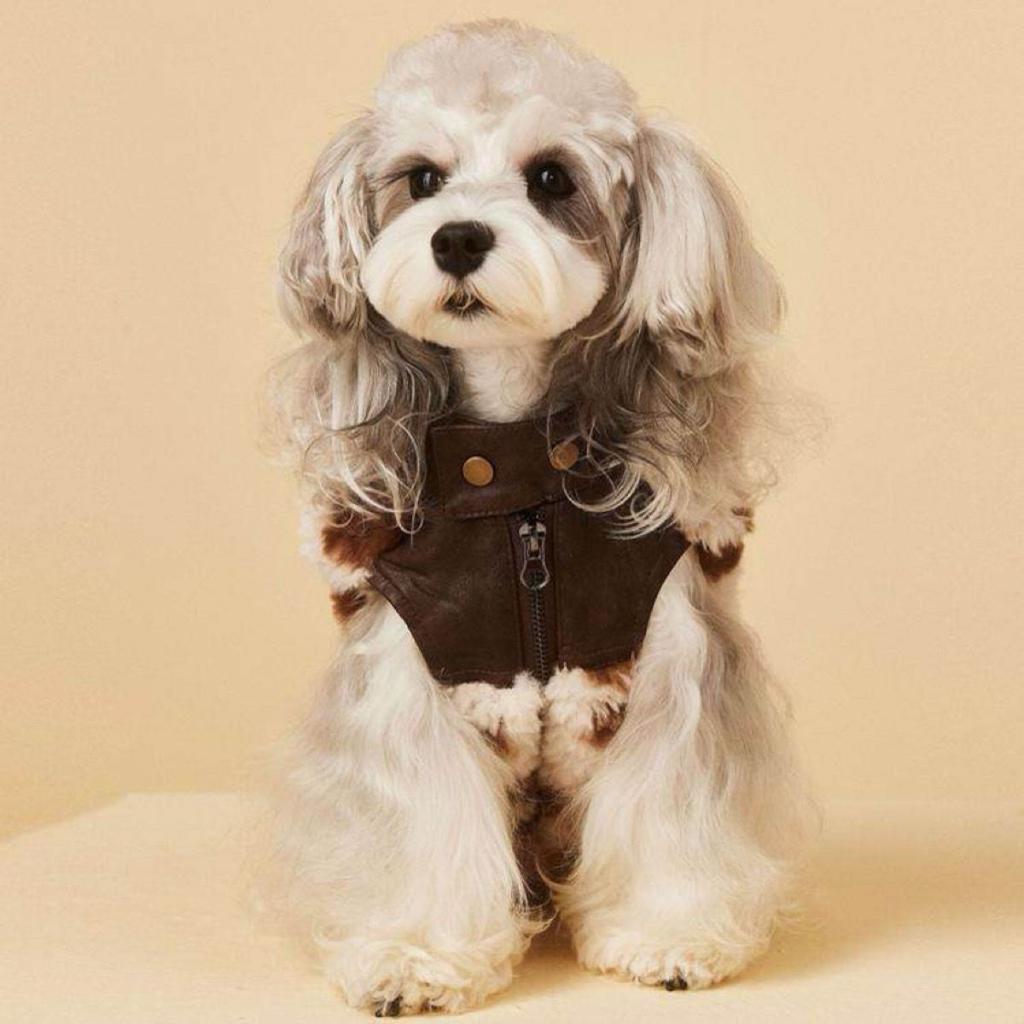 Autumn Winter Faux Fur Vest Warm Schnauzer Marzis Small Medium Cat Dog Clothes 2026 Trendy Pet Fashion