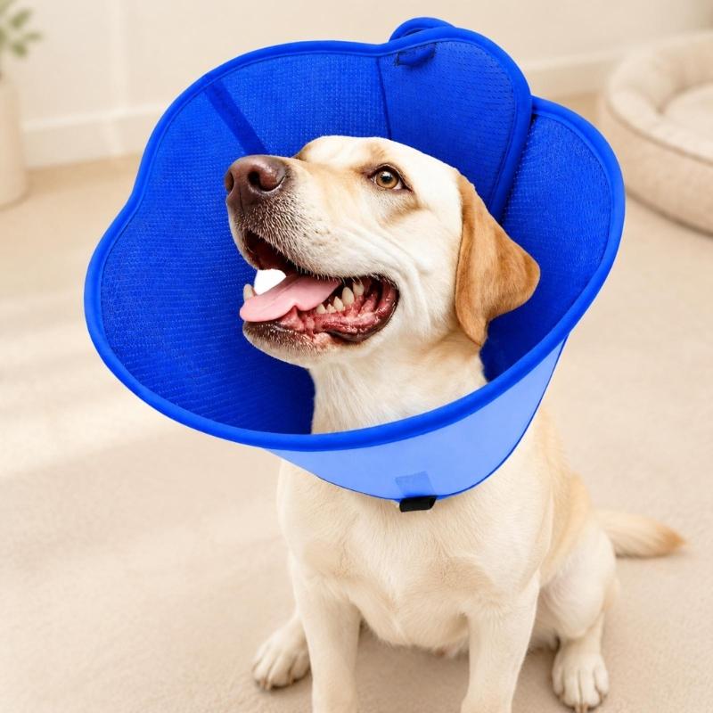 Pet Recovery Collar with Bounded Edges, Wearable Barrier for Care and After-Grooming Pet Recovery, Lick Proof Design