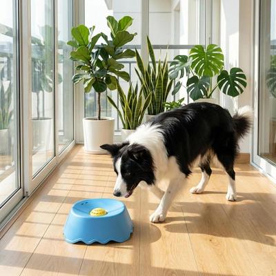 Cães – Louça para cães