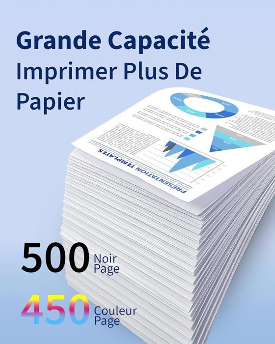 Cartouches d'encre 29XL - CHOUMICHA - Compatible Epson - 12 pièces - Inodores - Haute capacité