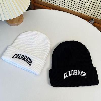 Korean Retro Embroidered Woolen Hat - Unisex Hip Hop Knitted Winter Warmth