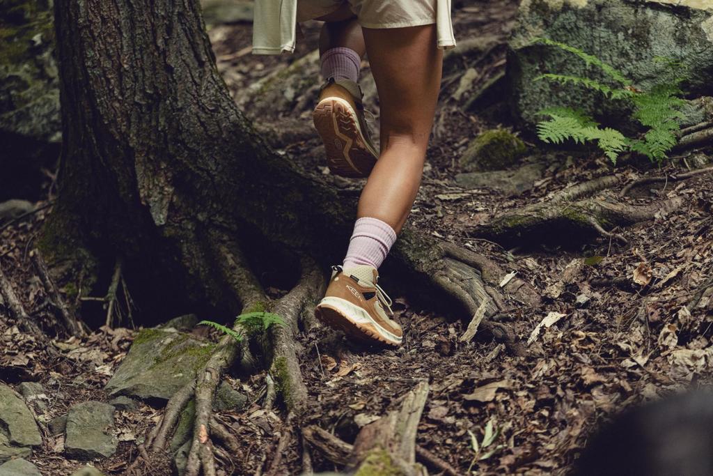Trekking Shoes HIGHTRAIL MID WP High Trail Mid Waterproof Cm [KEEN] Women's SAFARI/CHIPMUNK 26.0