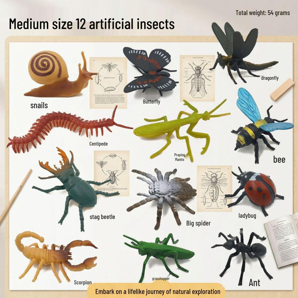 Children's Cognitive Teaching Toys: Insect Models - Butterfly, Ladybug, Rhinoceros Beetle, Bee, Grasshopper