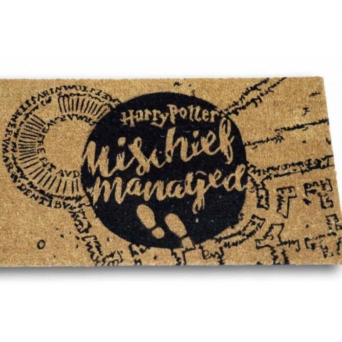 HARRY POTTER - Unfug gemeistert - Fußmatte '60x40x2cm'