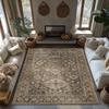 Beige Moroccan Bohemian Area Rug, Geometric Pattern Non-Slip Carpet, Soft Living Room Mat for Cozy Home Decor Ethnic Patterns