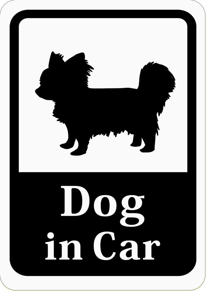 Dog In Car Chihuahua/Papillon/Small Dogs Car Sticker (Magnet) (White) S17