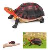 Simulation Turtle Model Realistic Tortoise Figurine Miniature Animal Educational Toy Home Office Desktop Decoration Ornament