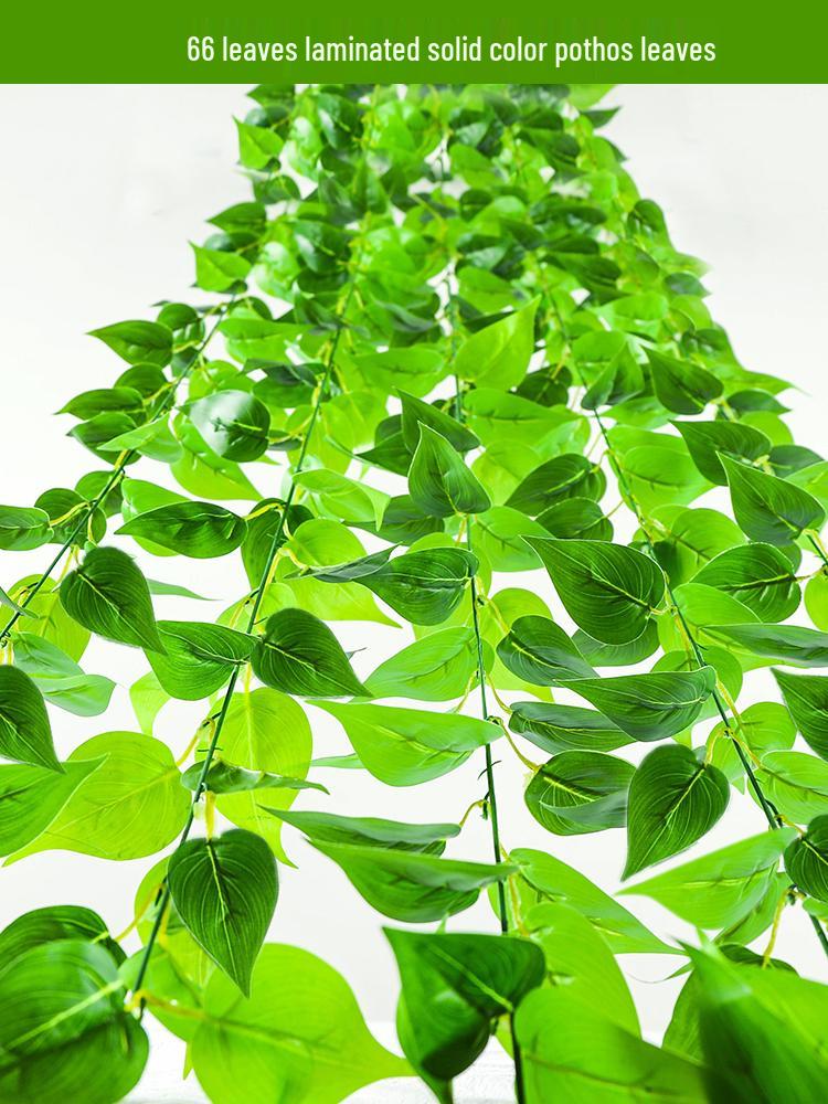 Artificial Rattan Morning Glory and Green Ivy Leaf Vine for Decoration