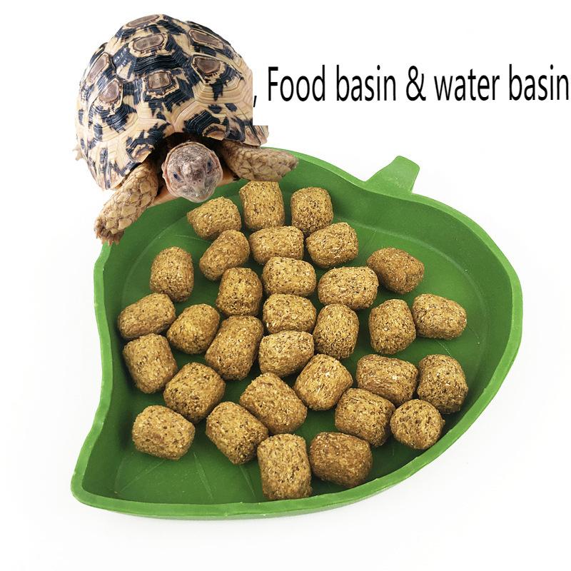 Reptile Feeding Dish for Leaf-Eating, Bowl for Terrarium