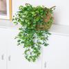 Artificial Ivy Plant Plastic Hanging Wedding Christmas Home Balcony Garden Indoor Outdoors Wall Decoration Festival Diy Hot Sale