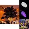 Luxurious Natural Ostrich Feathers 12-14 Inches For Elegant Party Table Decor