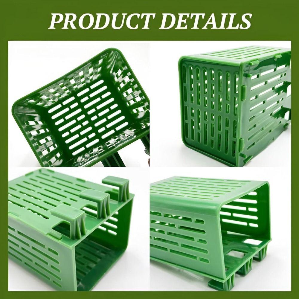 Water Plant Landscape Fish Tank Hydroponic Planting Basket Fish Tank Plant Cup  for Fish Tank