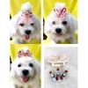 Puppy Hair Clip for Yorkshires & Maltese: Bow Knot Hairpin for All Breeds & Hair Lengths