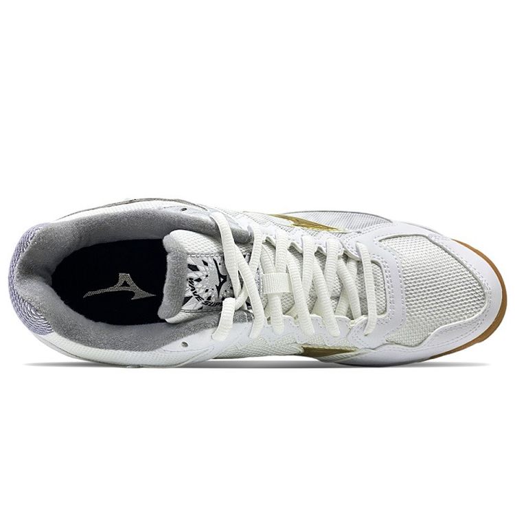 Mizuno Fabric Leather Shock Absorbing Non-Slip Wear-Resistant Breathable Low-Top Training Shoes Unisex Sneakers V1GA216152