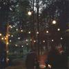 New Type Retro Bulb Light String Transparent Outdoor Decoration LED 50 Lamps, 13m