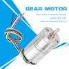 GM25 310 DC Encoder Gear Motor Metal Speed Reduction Motor (DC12V 30RMP)