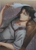 Attack On Titan Clear File L [Levi]