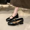 New Style Women's Luxury Mary Janes Shoes Square Toe Flats for Female Loafers Buckle Strap Ladies Shoes Spring Autumn