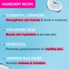 Dot & Key Ceramides Moisturizer with Hyaluronic Acid & Rice Water Intense Hydration 100gm