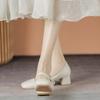 Mary Jane Shoes Retro Spring and Autumn New Fairy Gentle Thick Heels Retro Square Head Versatile High Heel Single Shoes