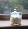 Kinto Shallow Pickling Bowl 640ml Gift Present 55010