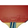 Butterfly Table Tennis Tomokazu Harimoto Kids 16960 Children's Racket, 1800, Shakehand, 5-Ply Plywood, Pre-Strung,