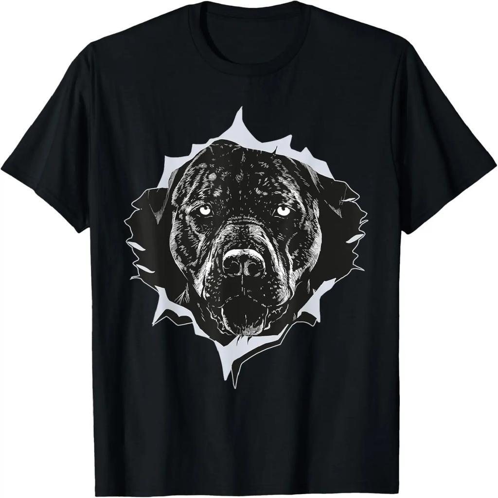 Total Solar Eclipse 2024 Texas Bluebonnet Cow Totality Cute T-Shirt