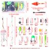 1.8m/2.1m Telescopic Sea Rod Set with 77Pcs Lure Accessories