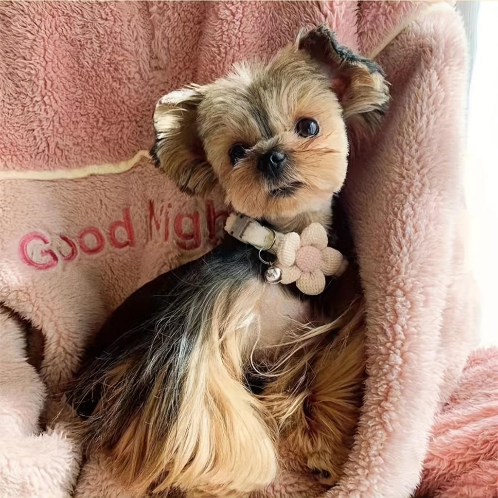 Flower Necklace Choker for Pet Neck Decorations Flower Bell Christmas Dog Necklace Pet Neck Jewelry