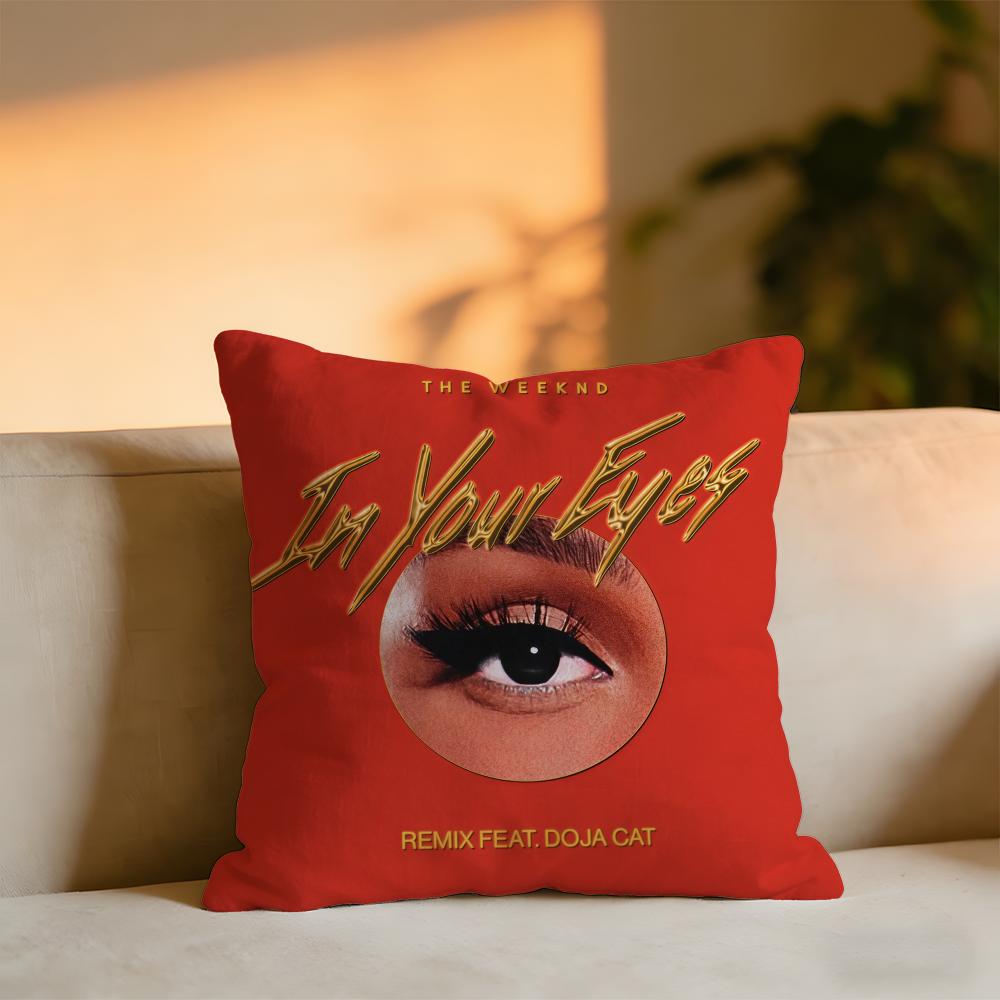 DDoja Cat Singer Cushion Cover Cozy Velvet Throw PillowSoft Warm Cushion For Sofa  Bed