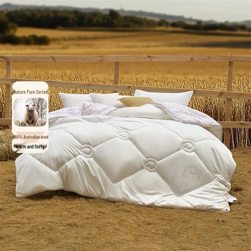 

Mercury Home Textiles Evelyn Antibacterial All-Season Wool Quilt