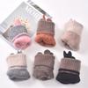 Touch Screen Gloves Autumn and Winter Knitted Gloves Cycling Warm Cold Warm Gloves Piled Thickened Couple Warm Gloves