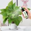 100ml Hydroponic Brazilian Wood Nutrient Solution Easy To Absorb Wood Liquid Fertilizers For Growing Flower Grow Nutrient