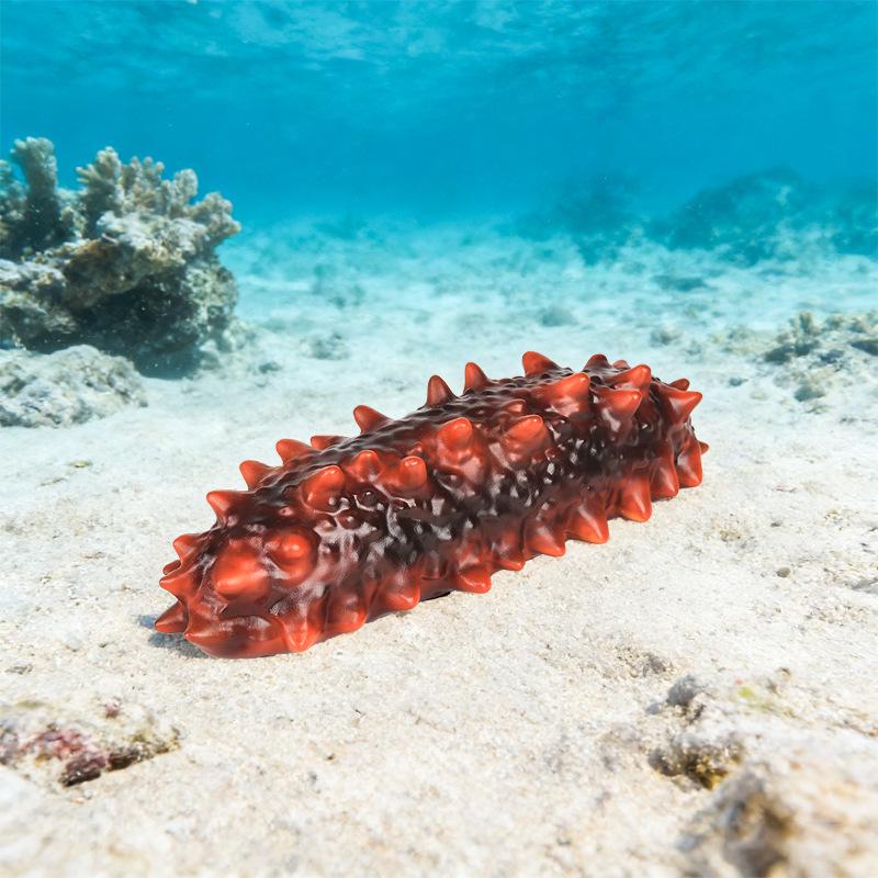 Marine Animal Simulation Toy Set: Sea Cucumber, Beluga Dolphin - Soft Rubber Models for Children's Learning & Decor.