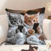 Sofa Pillow Pillowcase Skin-friendly Short Plush Cute Animal Cat Pillow Cover Living Room Cushion Cover Without Core