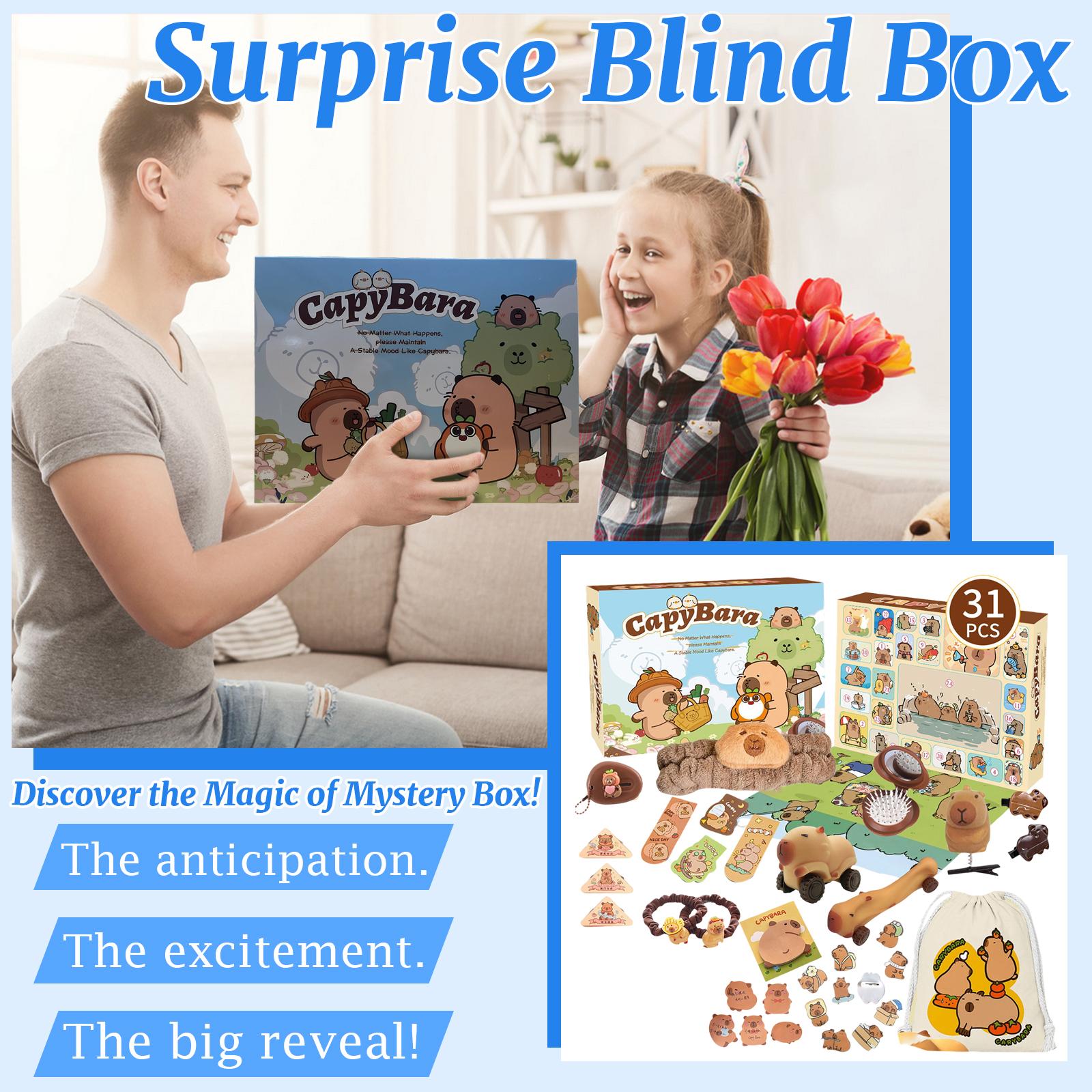 

3D BlindBox Коробка-самолет Прибытие принцессы Праздник 31 шт. Аксессуары BlindBox Рождественский набор для отсчета времени Подарочный набор BlindBox One Size