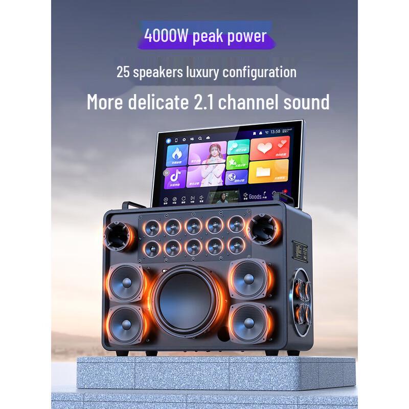 SANSUI C1 Portable Home KTV Speaker System CN Plug (adapter Included)