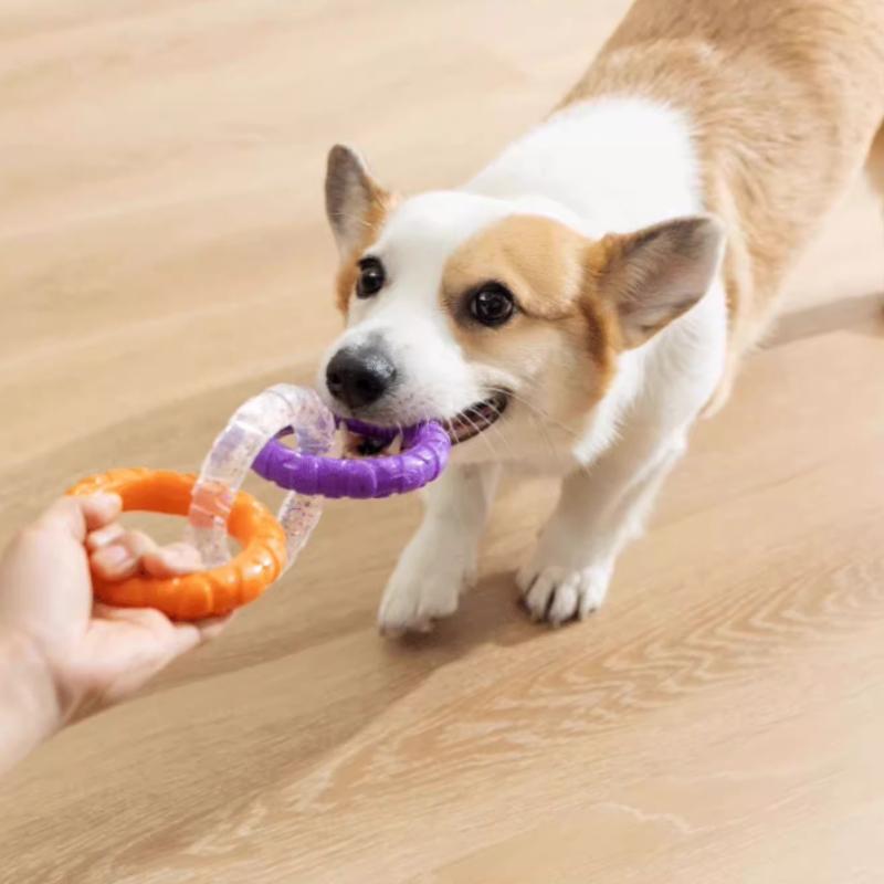 Dog Chew Toy TPR Teeth Cleaning Pet Toys Interactive Bite Resistant 3 Ring Tug for Small and Medium Dogs Pet Supplies