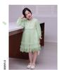 Girls' 2025 Spring/Autumn Long Sleeve Tulle Princess Dress - Perfect Birthday Gift for Middle Childhood