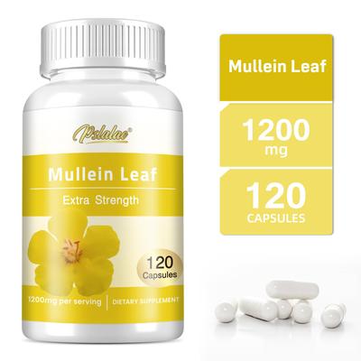 Mullein Leaf Capsules 1200 Mg Support Respiratory Health and Help Cleanse the Lungs.
