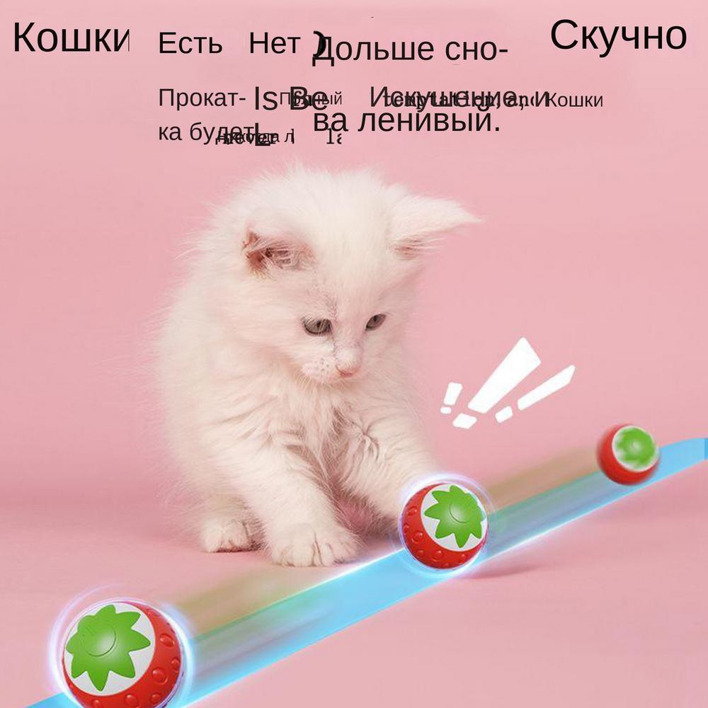 

Indoor Cat Play Ball Automatic Moving Electric Pet Dog Ball Toy Interactive Pet Cat Dog Bouncing Toy For Home Garage Patio красный