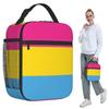Pansexual Pride Flag Insulated Lunch Bag for Kids School Cooler Thermal Food Box Tote Leakproof Lunch Boxes Container