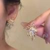 Fireworks Earrings Popular Autumn and Winter Temperament Stud Earrings Unique Personality Earrings