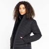 Dare2B Jacket Striking Everyday