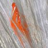 1/5PCS Household Clear Plastic Large Couch Cover Protective Dustproof Film Elastic Wrap for Furniture Sofa Table Cabinet Bed